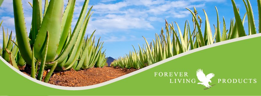 GRT-FOREVER-LIVING-PRODUCTS.jpg
