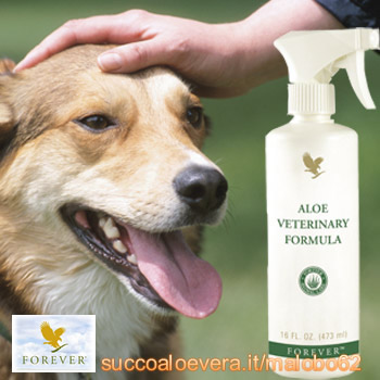 L'aloe vera e il benessere dei tuoi animali