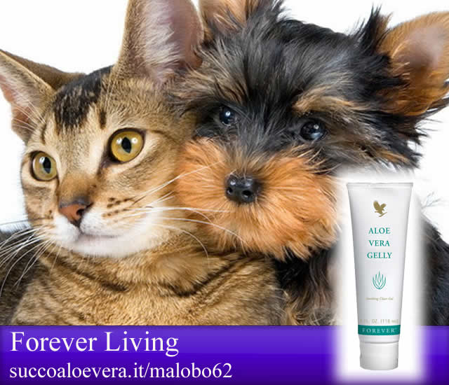 Animali - Aloe vera gelly