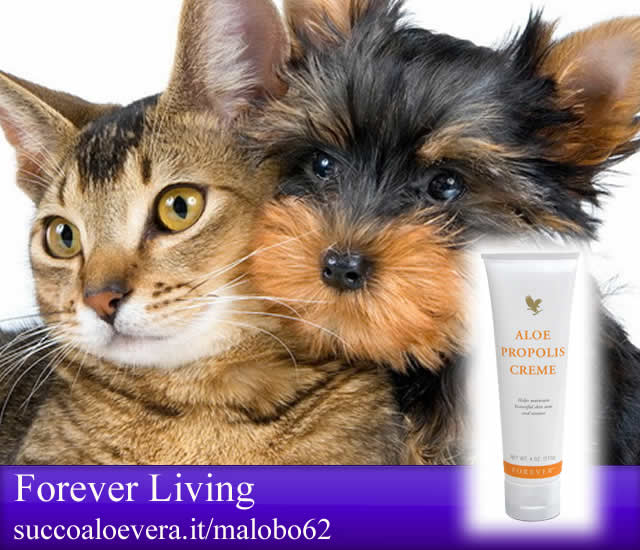 Animali - Propolis creme