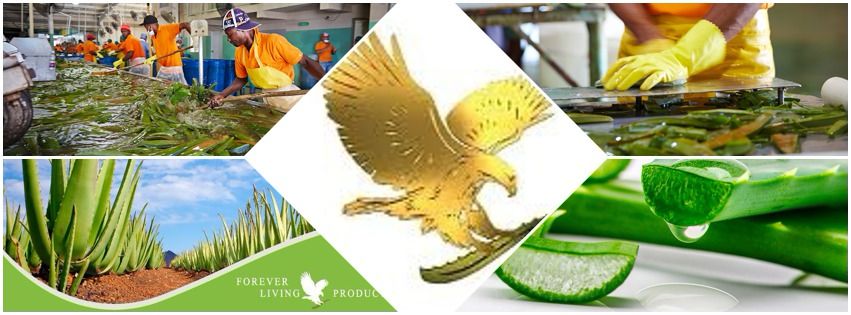 prodotti-aloe-vera-forever-living
