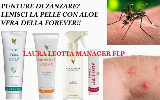 aloe vera per punture di zanzare