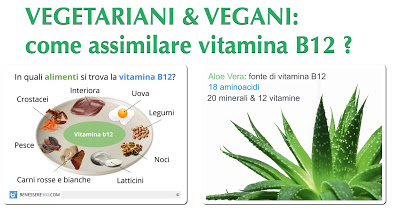 IMPORTANZA VITAMINA B12