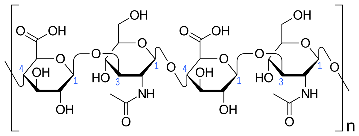 Haworth_projection_of_hyaluronan.svg.png