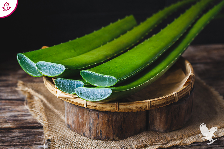 il gel di aloe vera